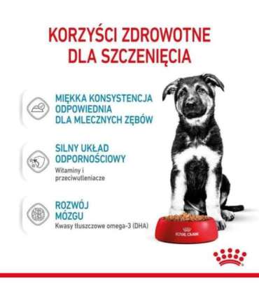 ROYAL CANIN Maxi Puppy SHN - wet dog food - 10x140g