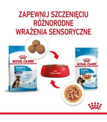 ROYAL CANIN Maxi Puppy SHN - wet dog food - 10x140g