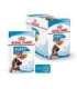 ROYAL CANIN Maxi Puppy SHN - wet dog food - 10x140g