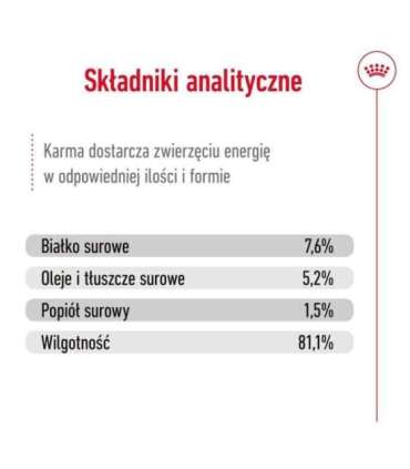 ROYAL CANIN Mini Adult - wet dog food - 12 x 85g