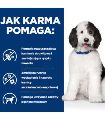 HILL'S PD Canine Urinary Care C/D - wet dog food - 370g