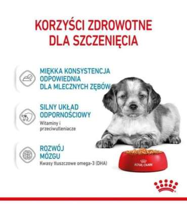 ROYAL CANIN Medium Puppy - wet dog food - 10x140g