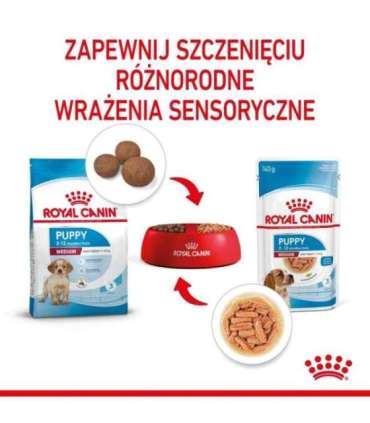 ROYAL CANIN Medium Puppy - wet dog food - 10x140g
