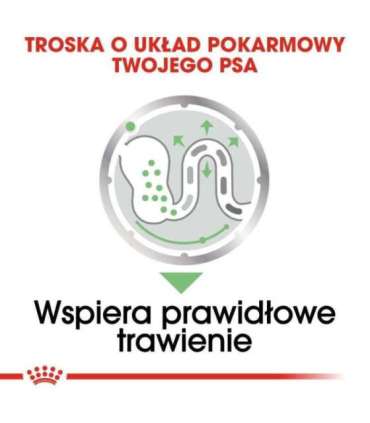 ROYAL CANIN CCN DIGESTIVE CARE LOAF - wet food for adult dogs - 12x85g