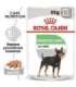 ROYAL CANIN CCN DIGESTIVE CARE LOAF - wet food for adult dogs - 12x85g