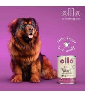 OLLO Umami Lamb and beef - wet dog food - 850g