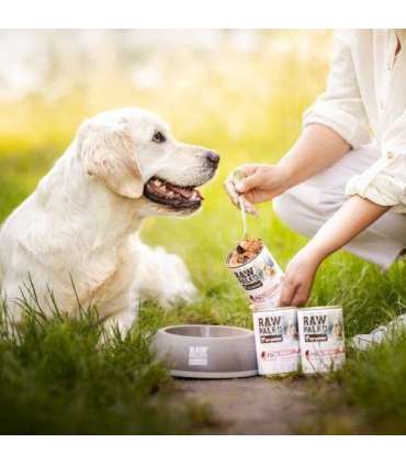 RAW PALEO Adult Monoprotein Pork - wet dog food - 400 g