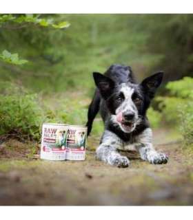 RAW PALEO Puppy Monoprotein Beef - wet food for puppies - 400 g