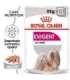 ROYAL CANIN Exigent Wet dog food Pâté 12x85 g
