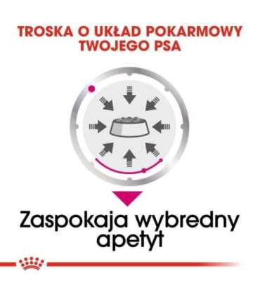 ROYAL CANIN Exigent Wet dog food Pâté 12x85 g