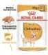 ROYAL CANIN Chihuahua - pack 12x85g