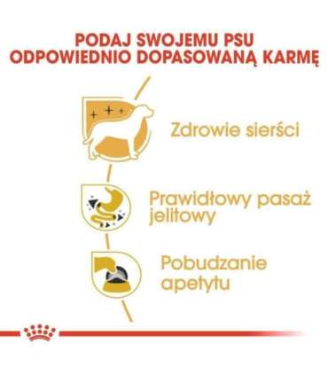 ROYAL CANIN Chihuahua - pack 12x85g