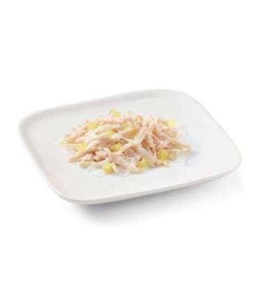 SCHESIR Chicken with pineapple in jelly - wet dog food - 150g