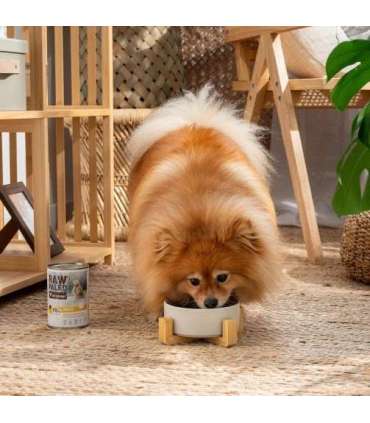 RAW PALEO Adult Monoprotein Turkey - wet dog food - 800 g