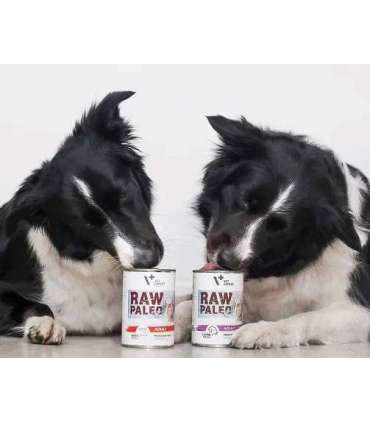 RAW PALEO Adult Monoprotein Beef - wet dog food - 800 g