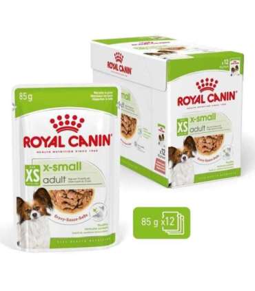 ROYAL CANIN Adult xs-small - wet dog food - 12 x 85g