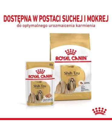 ROYAL CANIN Shih Tzu Adult Wet dog food Pâté 12x85 g