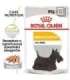 ROYAL CANIN Dermacomfort - Wet dog food - 12 x 85 g