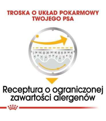 ROYAL CANIN Dermacomfort - Wet dog food - 12 x 85 g