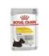 ROYAL CANIN Dermacomfort - Wet dog food - 12 x 85 g