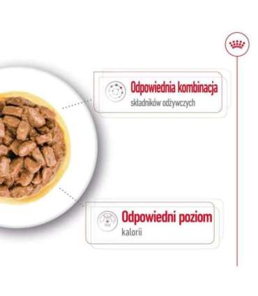 ROYAL CANIN Mini Ageing - wet dog food - 12 x 85g