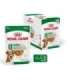 ROYAL CANIN Mini Ageing - wet dog food - 12 x 85g