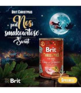 BRIT  Mono Protein Carp with potatoes - wet dog food - 400g