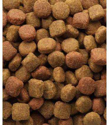 VERSELE-LAGA Classic Duo Krok - dry dog food - 20 kg