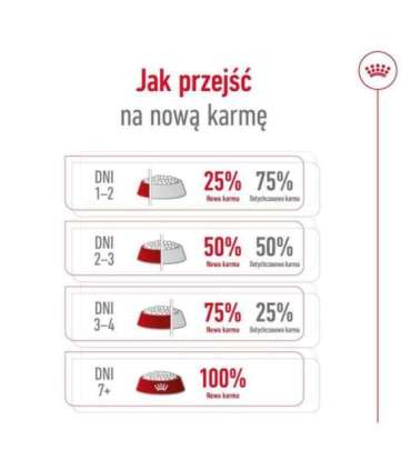 ROYAL CANIN Mini Ageing Adult +12 - dry dog food - 3,5 kg