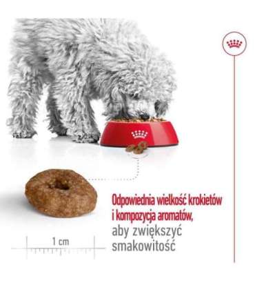 ROYAL CANIN Mini Ageing Adult +12 - dry dog food - 3,5 kg