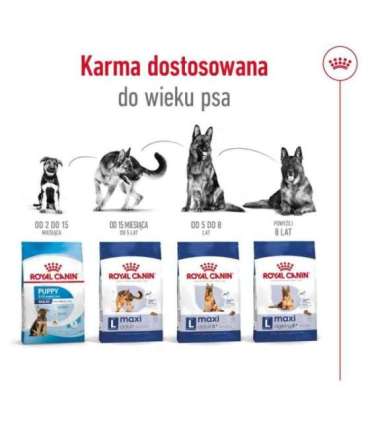ROYAL CANIN Maxi Adult - dry dog food - 15 kg