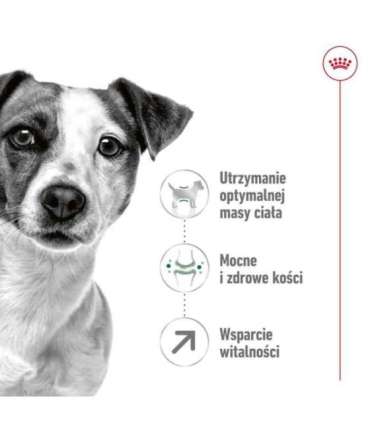 Royal Canin Mini Adult 8+ 8 kg Senior Poultry, Rice, Vegetable