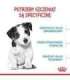 ROYAL CANIN Puppy Mini - dry dog food - 8 kg