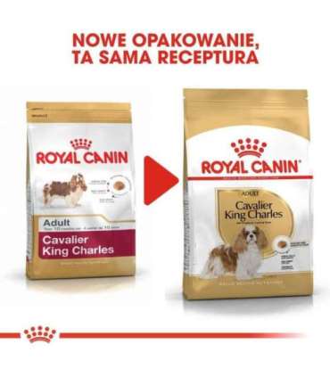 Dog Food Royal Canin SHN Breed Cavalier K C 1.5 kg