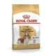Dog Food Royal Canin SHN Breed Cavalier K C 1.5 kg