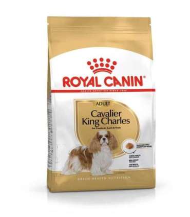Dog Food Royal Canin SHN Breed Cavalier K C 1.5 kg