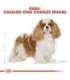 Dog Food Royal Canin SHN Breed Cavalier K C 1.5 kg