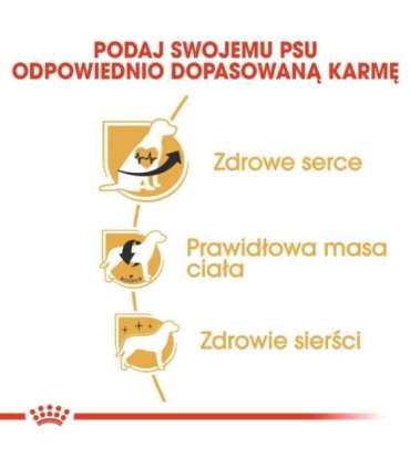 Dog Food Royal Canin SHN Breed Cavalier K C 1.5 kg