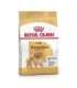 Royal Canin Pomeranian Adult - dry food for dogs - 3 kg