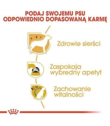 ROYAL CANIN BHN Yorkshire Terrier Adult - dry dog food - 3kg