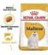 ROYAL CANIN Maltese Adult - dry dog food - 1,5 kg