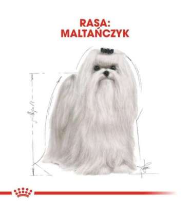 ROYAL CANIN Maltese Adult - dry dog food - 1,5 kg
