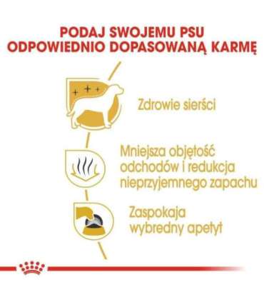 ROYAL CANIN Maltese Adult - dry dog food - 1,5 kg