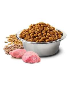 Farmina Pet Food N&D Ancestral Grain Canine 15 kg Adult Chicken