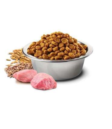 Farmina Pet Food N&D Ancestral Grain Canine 15 kg Adult Chicken