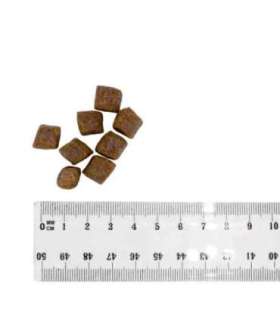 BULT Salmon with trout - dry dog food - 3kg