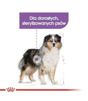 ROYAL CANIN CCN Medium Sterilised  Adult - dry dog food - 12 kg