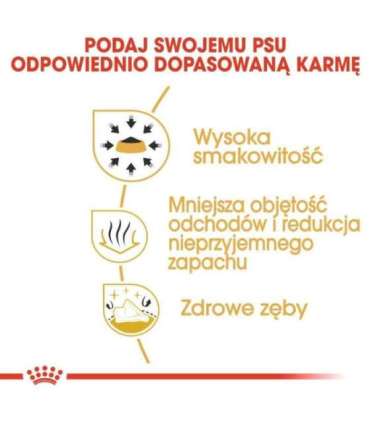 ROYAL CANIN BHN Chihuahua Adult dry dog food - 1.5 kg