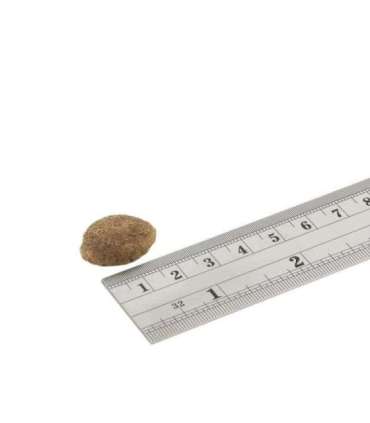 FISH4DOGS Superior Senior Medium  Complete Salmon - dry dog food - 12kg