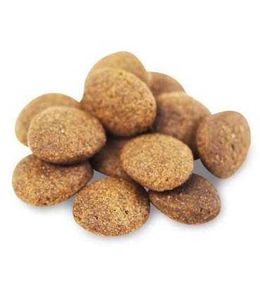 FISH4DOGS Superior Senior Medium  Complete Salmon - dry dog food - 12kg